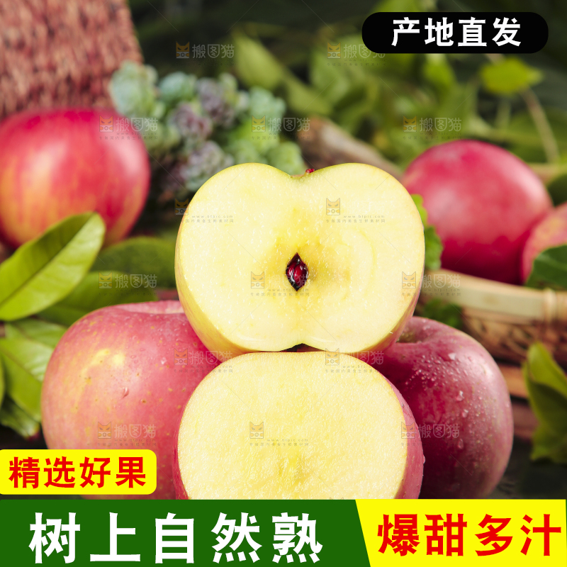 深底上摆放着红嘎啦苹果