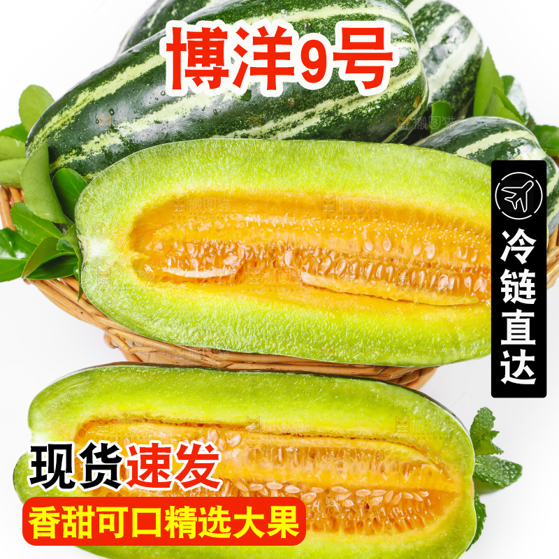 白底上放着花皮甜瓜