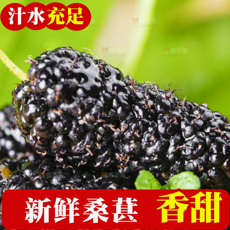 堆放着一堆黑桑葚