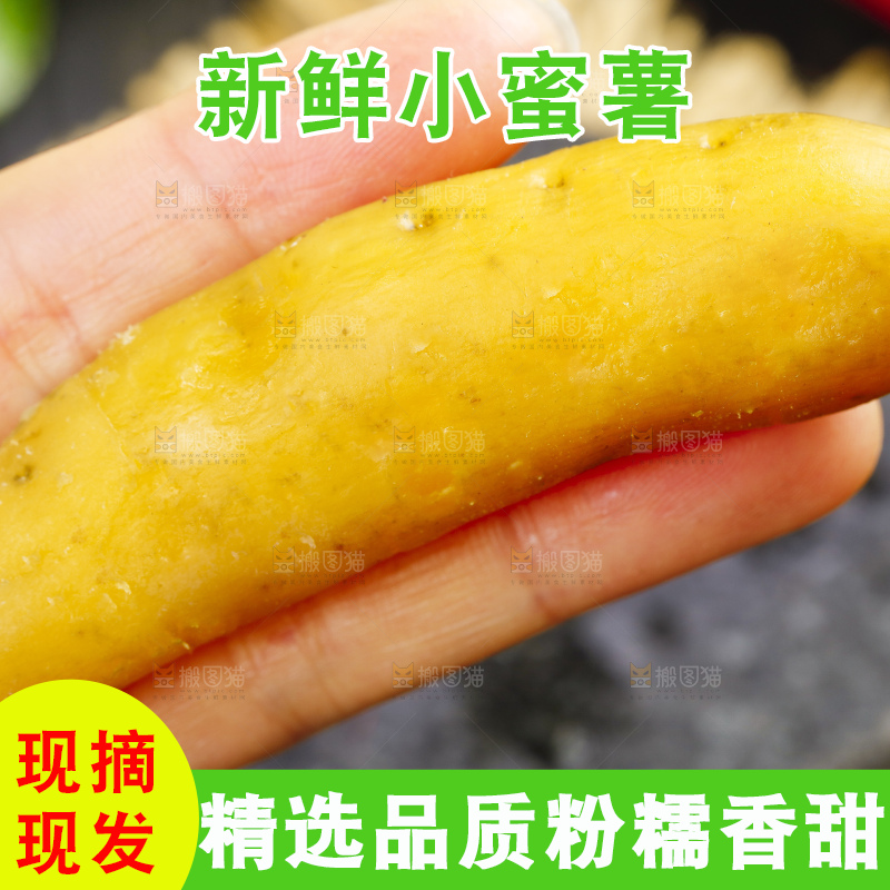 手里拿着临安天目山小香薯
