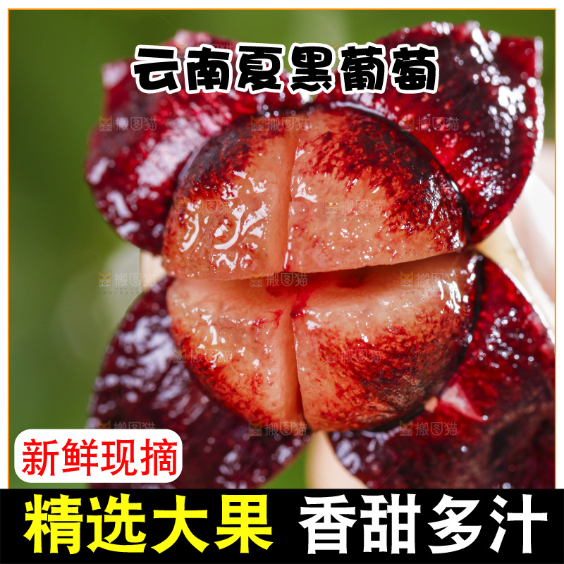 手里拿着剥皮了的紫葡萄