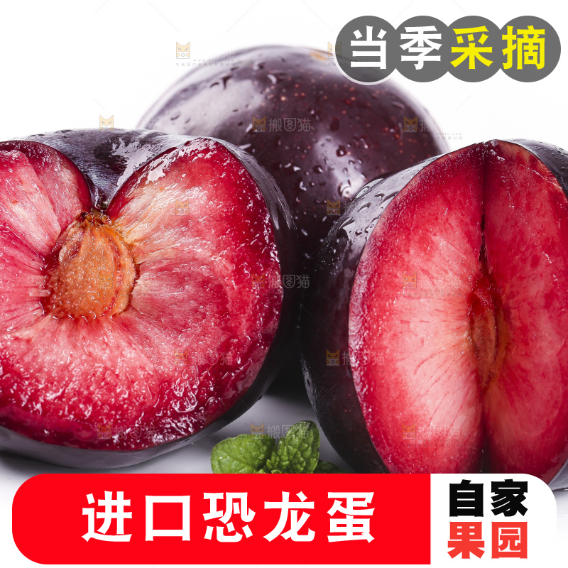 白底上放着智利进口恐龙蛋