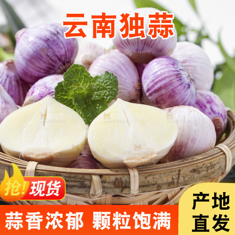 篮子里装着紫皮独蒜