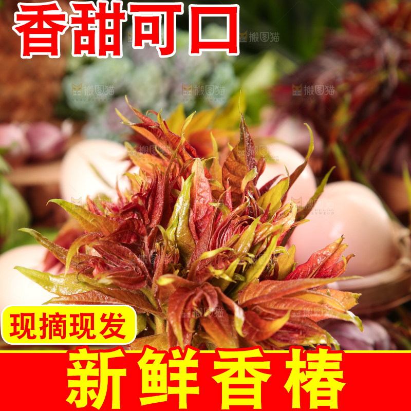 木板上放着香椿芽