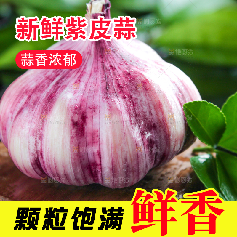 深底上摆放着紫皮多瓣蒜