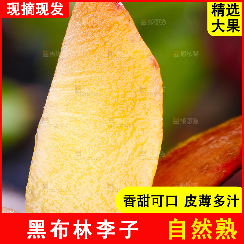 手里拿着黑布林