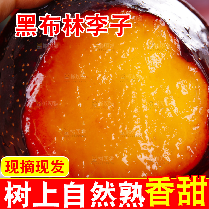 手里拿着黑布林