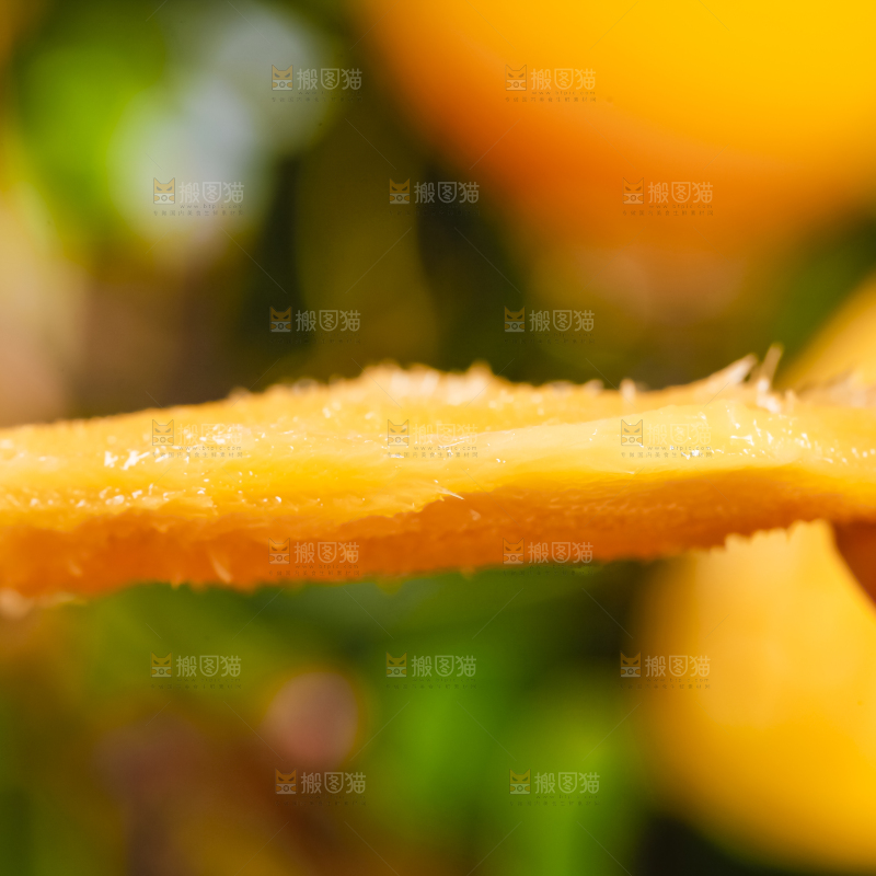 手里拿着芒果的果核