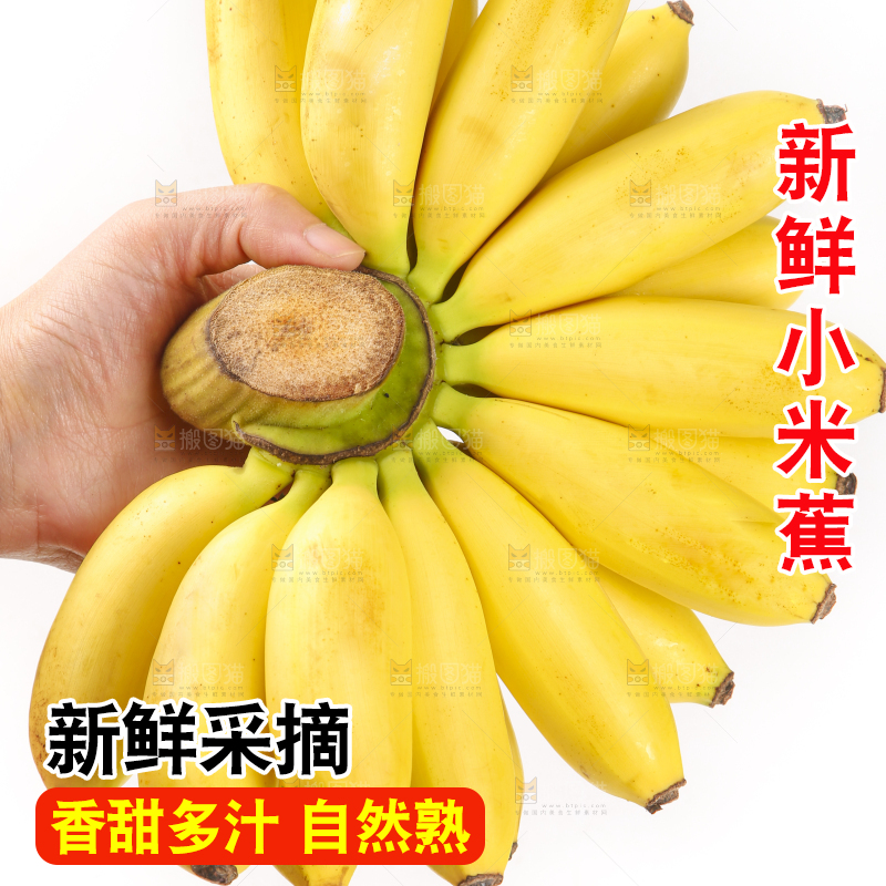 手里拿着新鲜小米蕉
