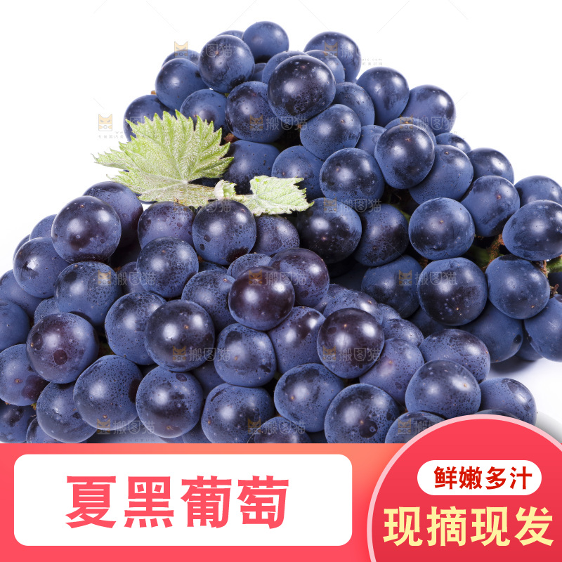 白底上摆放着巨峰葡萄