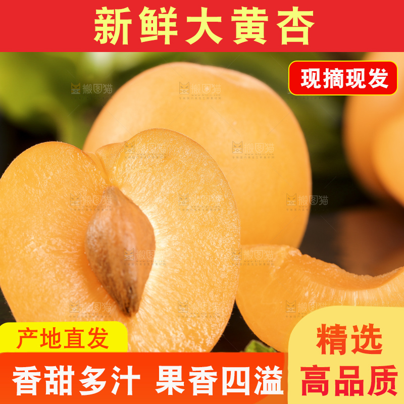 黑底上摆放着大黄杏