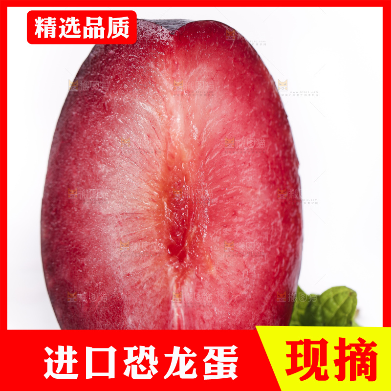 白底上放着智利进口恐龙蛋