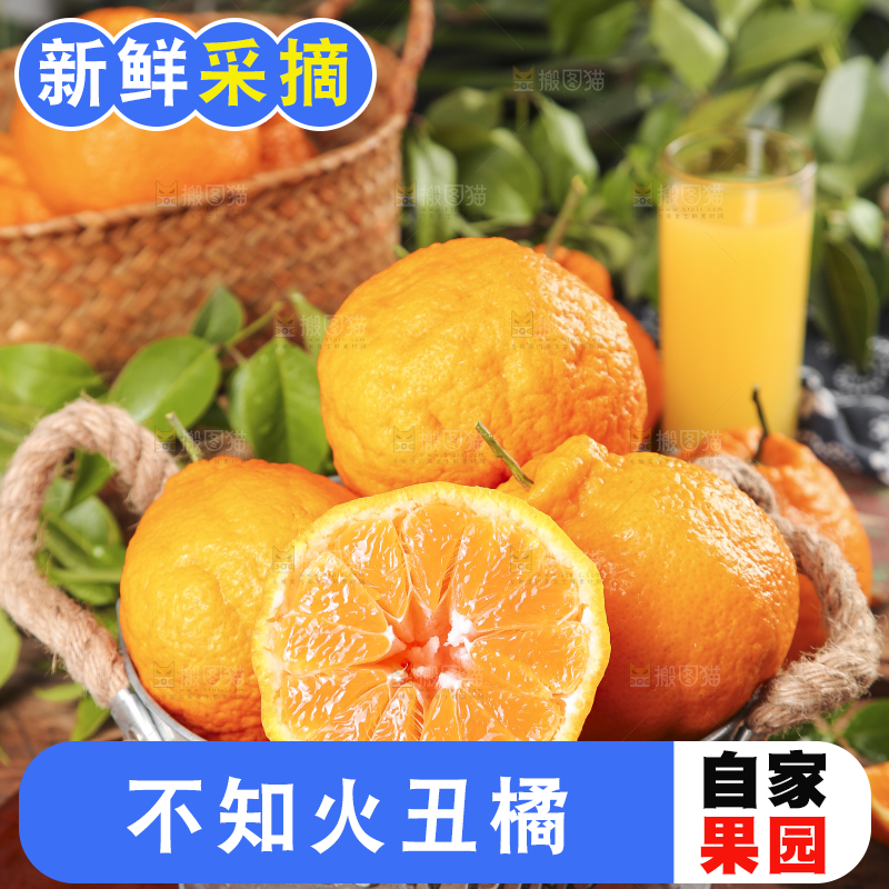 小桶里装着丑橘