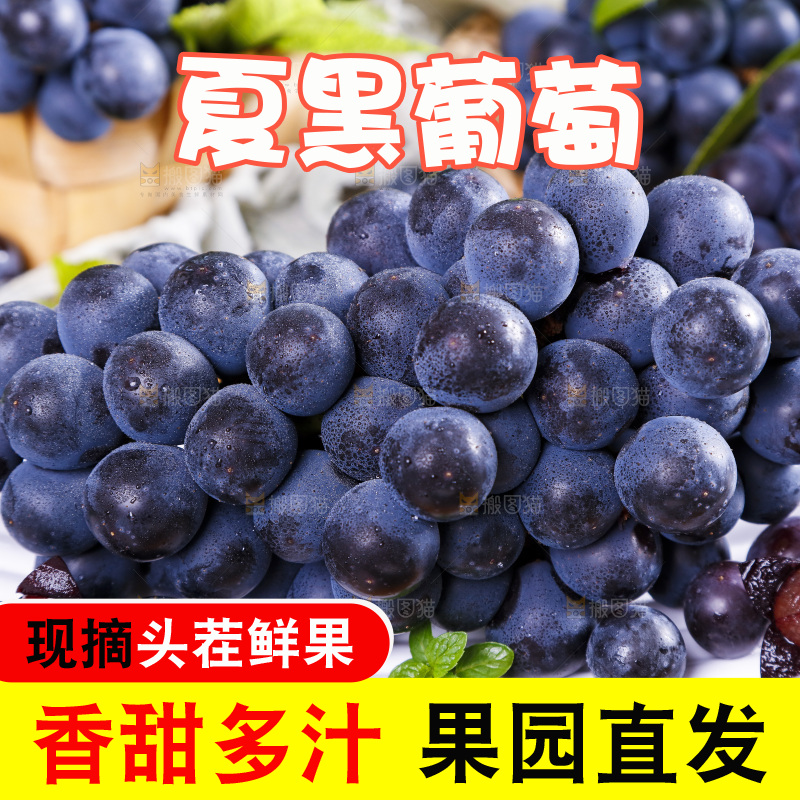 碟子里装着黑加仑