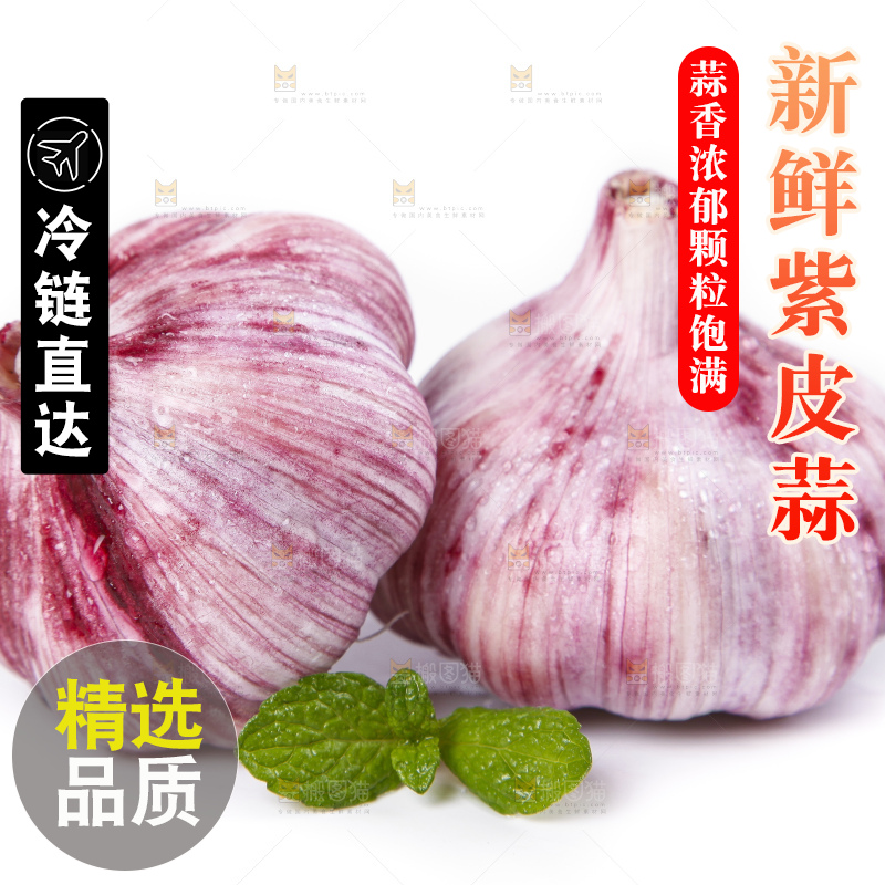 白底上放着紫皮蒜