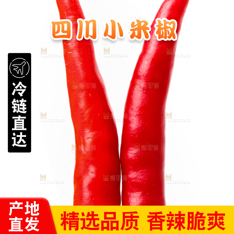 白底上摆放着小米椒