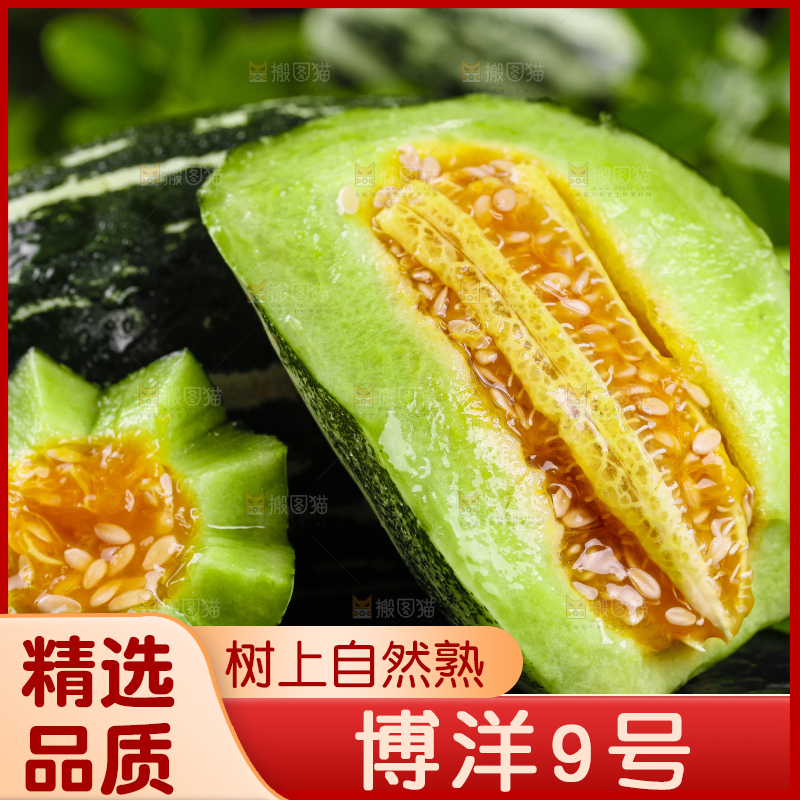 黑底上放着新鲜博洋9号甜瓜