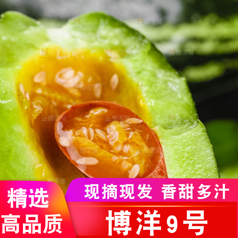 手里拿着切开的博洋香瓜
