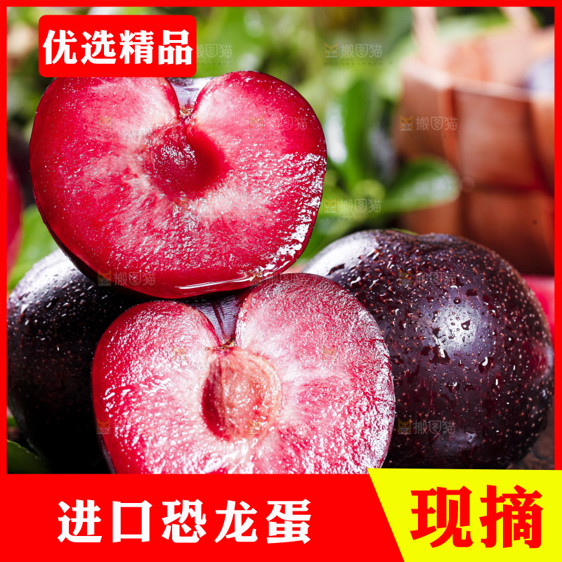 黑底上摆放着智利进口恐龙蛋