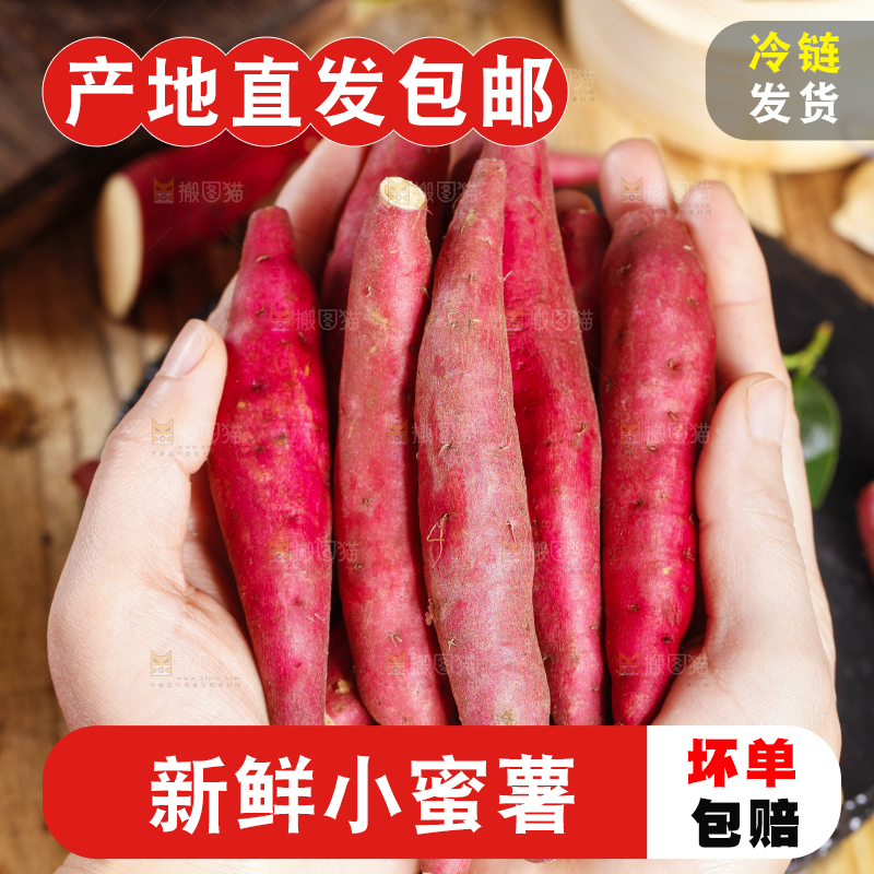 手里捧着金手指红薯