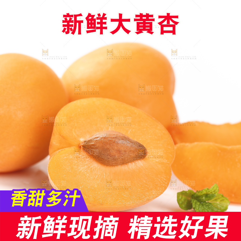 白底上摆放着秦岭头茬大黄杏