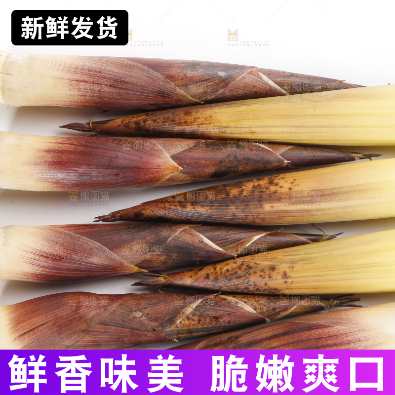 白底上摆放着春笋