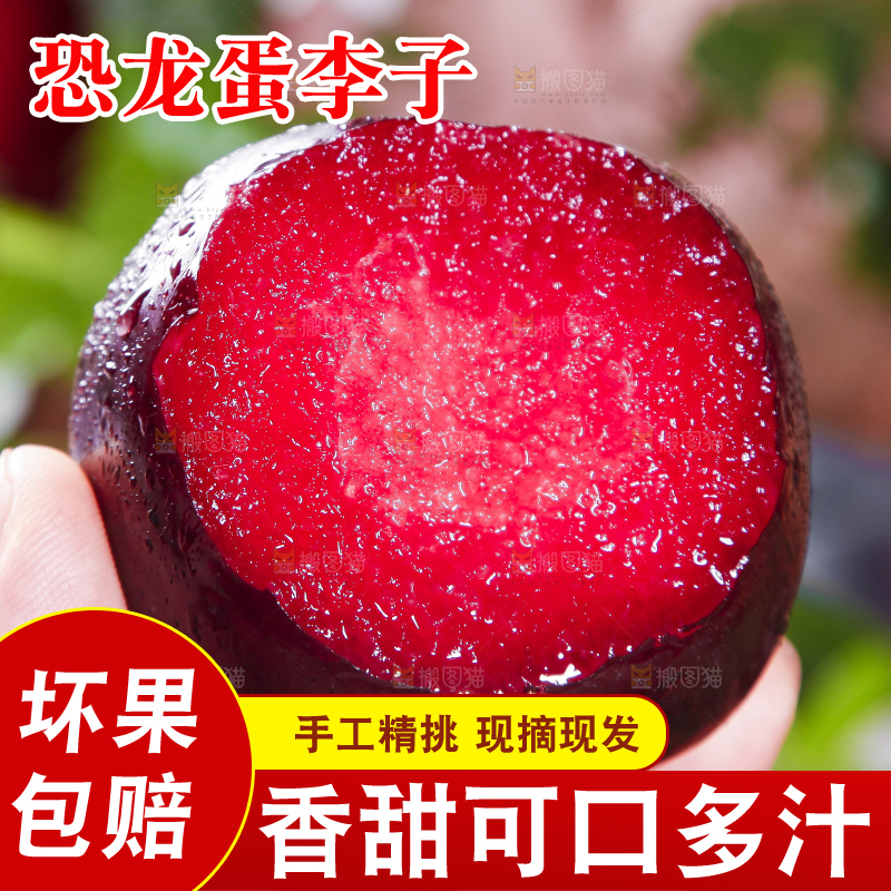 黑底上摆放着智利进口恐龙蛋