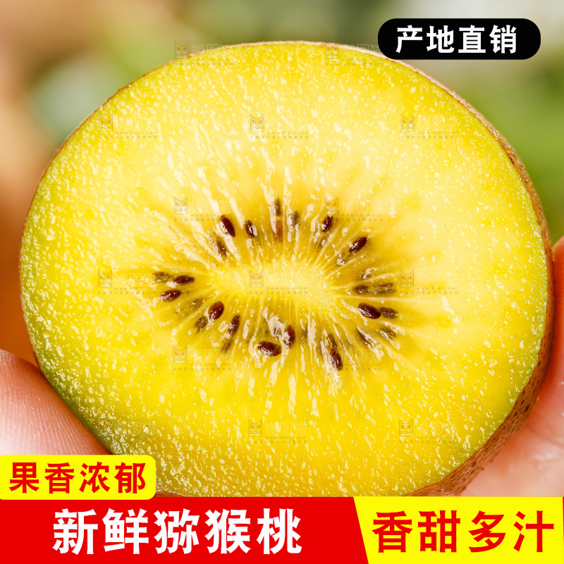 手里拿着黄心奇异果