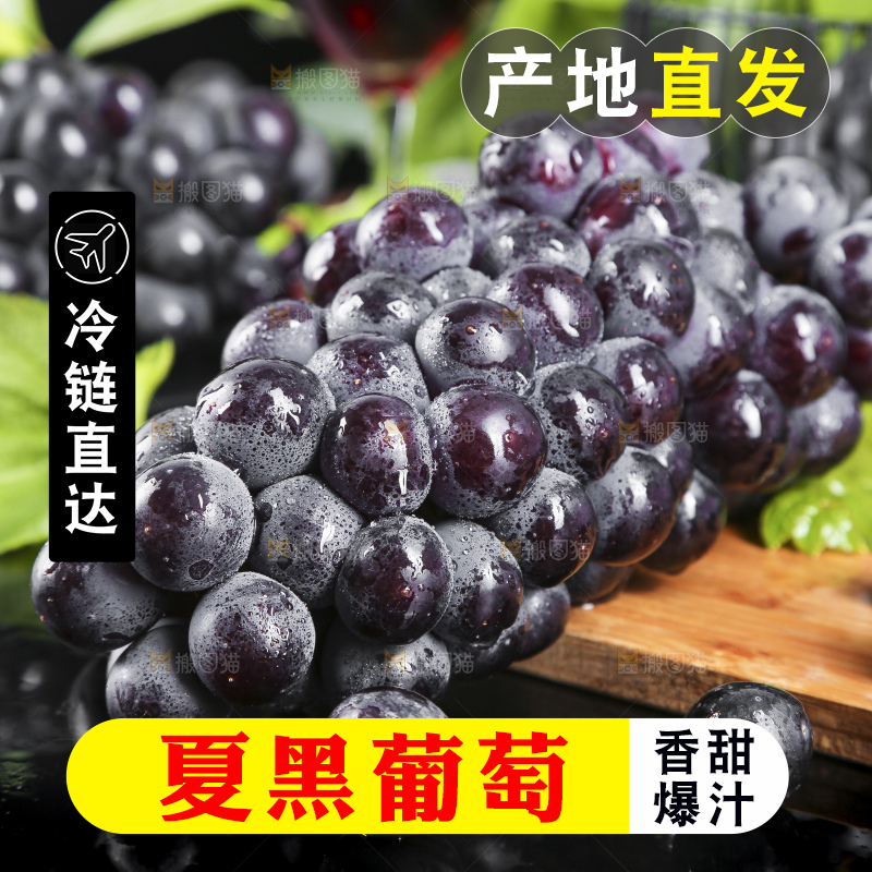 木底上摆放着云南夏黑葡萄