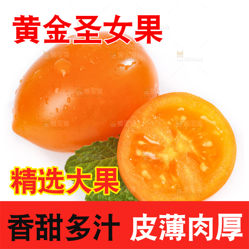 白底上摆放着山东黄金圣女果