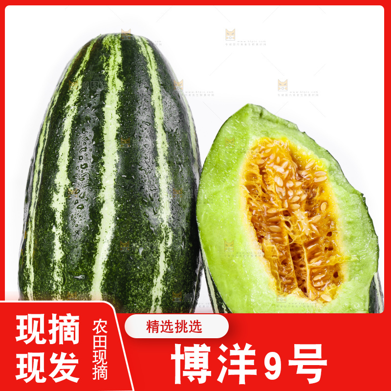 白底上放着博洋甜瓜