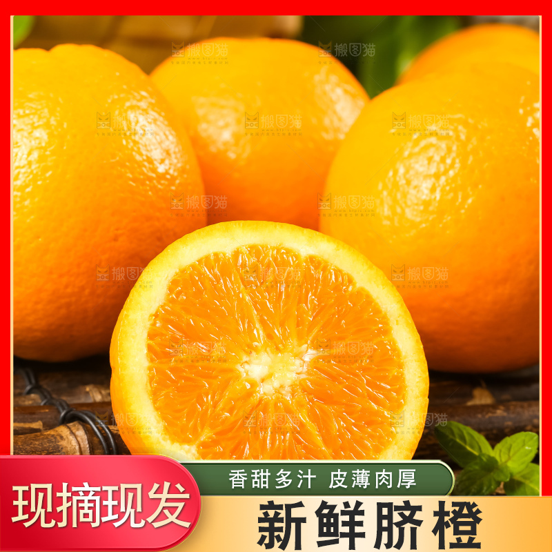 木底上摆放着伦晚脐橙