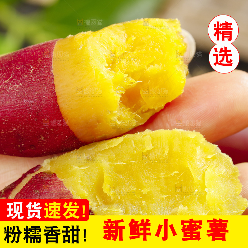 手里拿着黄心蜜薯