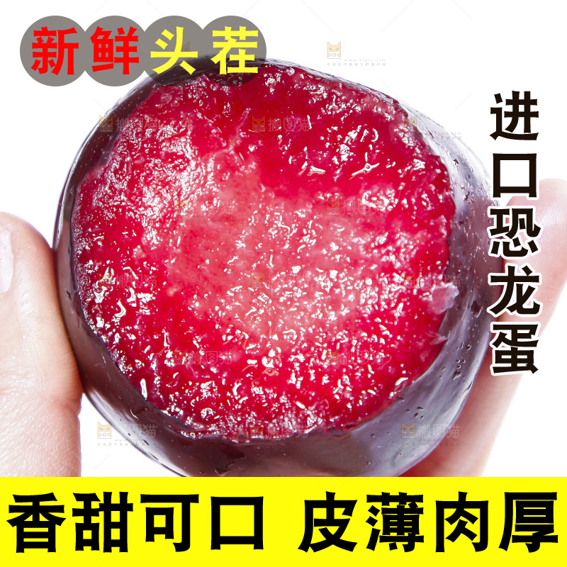 手里拿着红心恐龙蛋