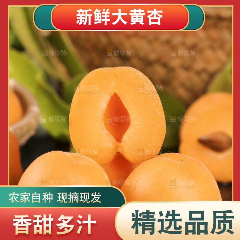 黑底上摆放着头茬大黄杏