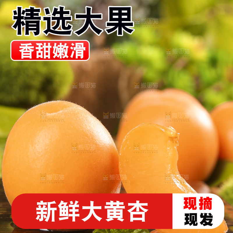 深底上摆放着烟台杏子