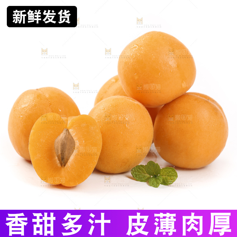 白底上放着山东大黄杏