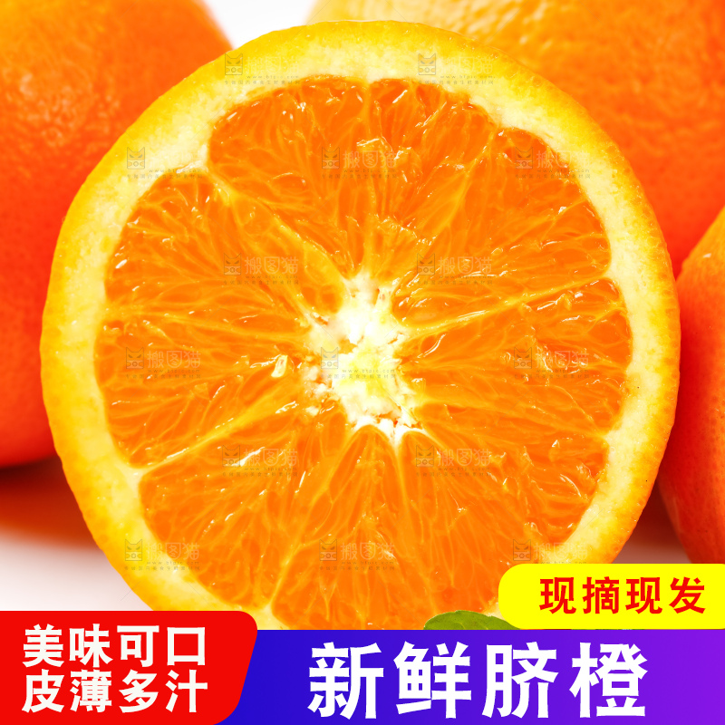 白底上放着赣南伦晚脐橙