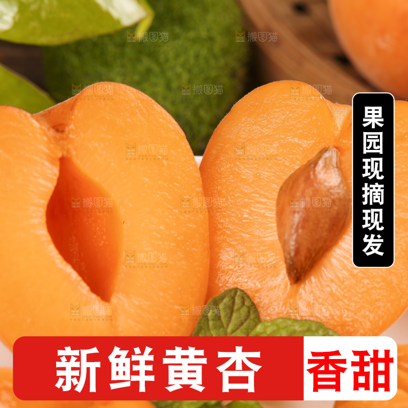 盘子装着秦岭头茬大黄杏
