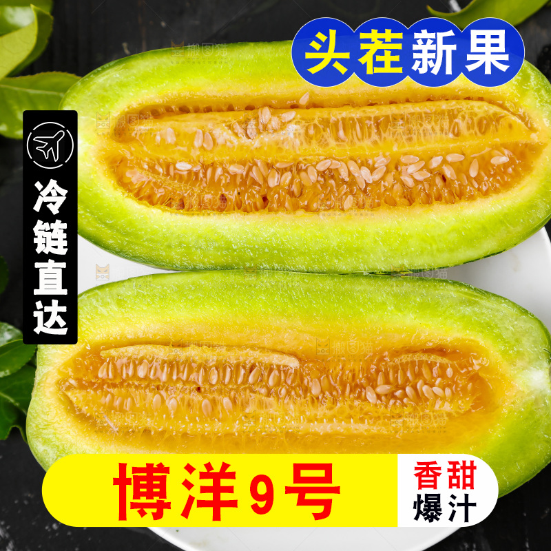 盘子里装着博洋蜜脆甜瓜