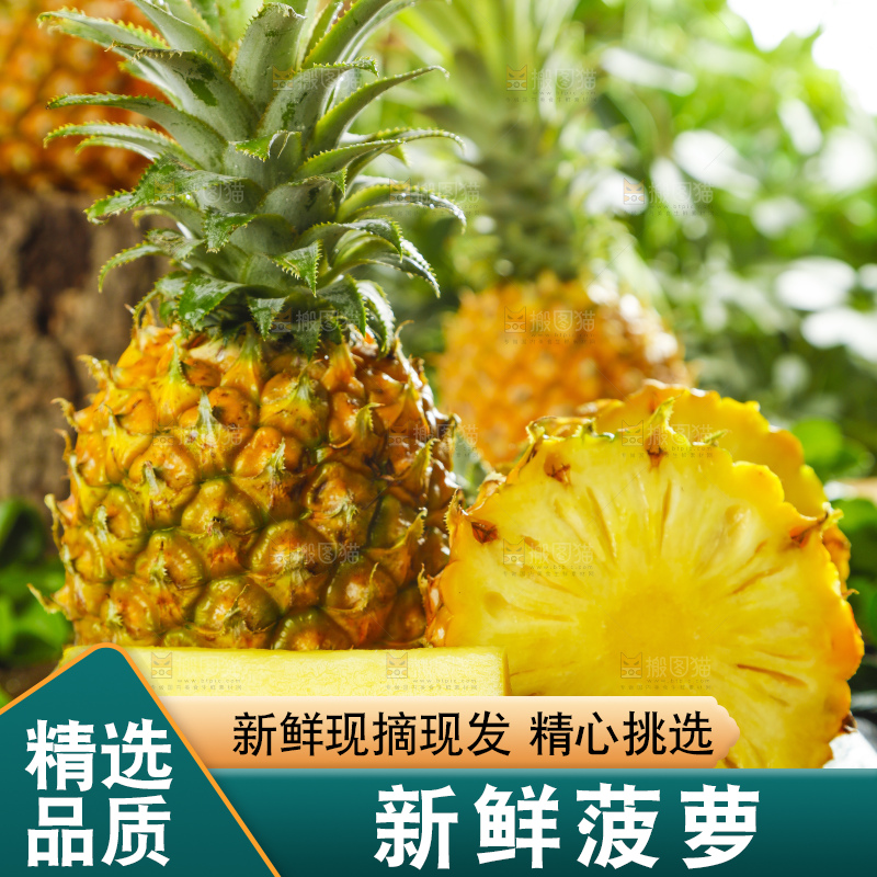 黑底上摆放着进口菠萝