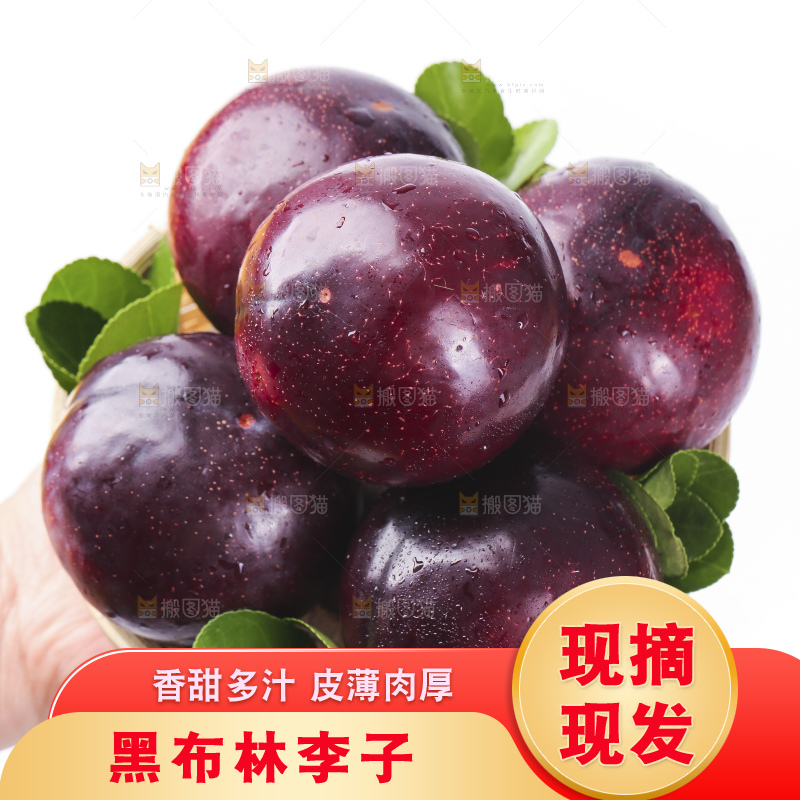 手里拿着一盘黑布朗