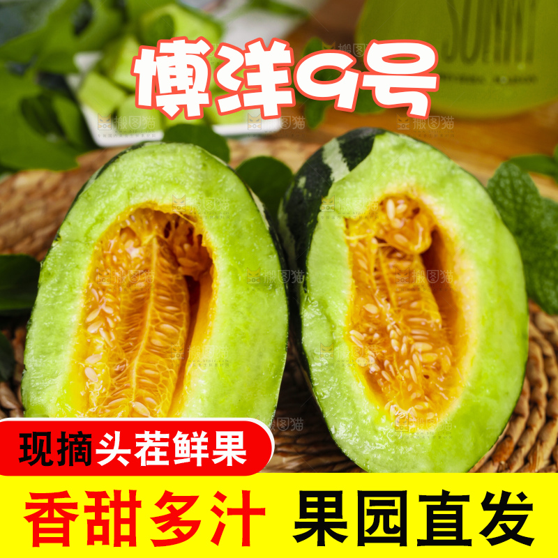编织垫上放着博洋9号甜瓜