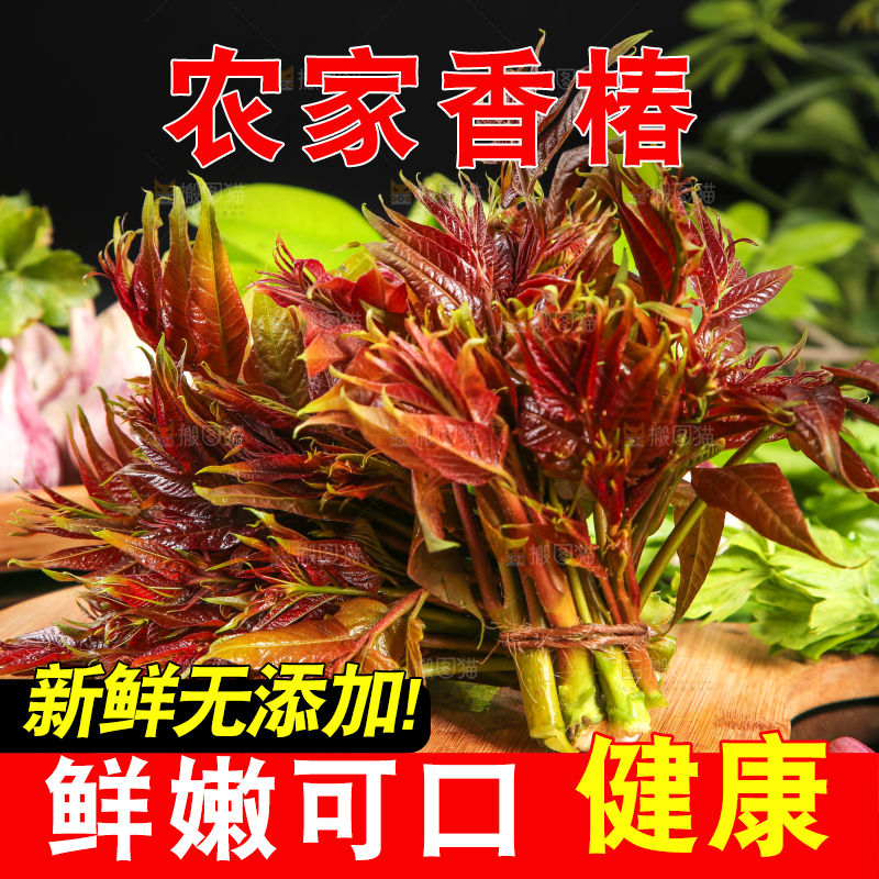 木底上放着一把秦岭香椿