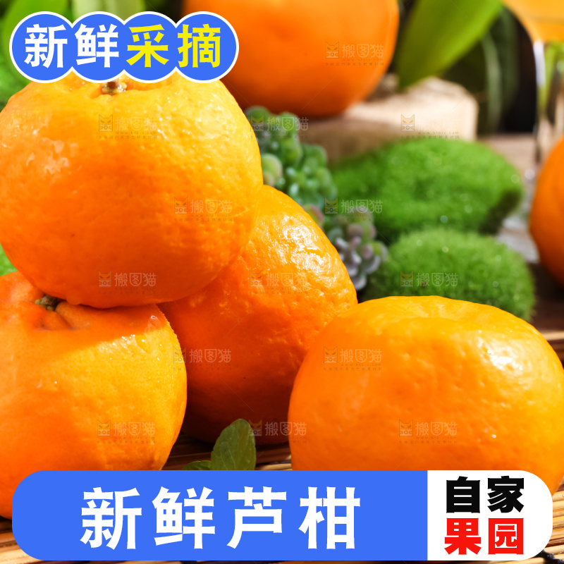 竹垫上放着宜昌芦柑