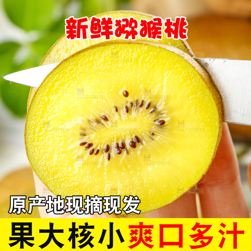 手里拿着黄心猕猴桃