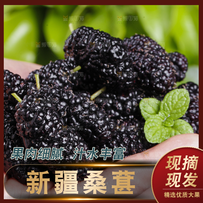 手心里放着桑枣