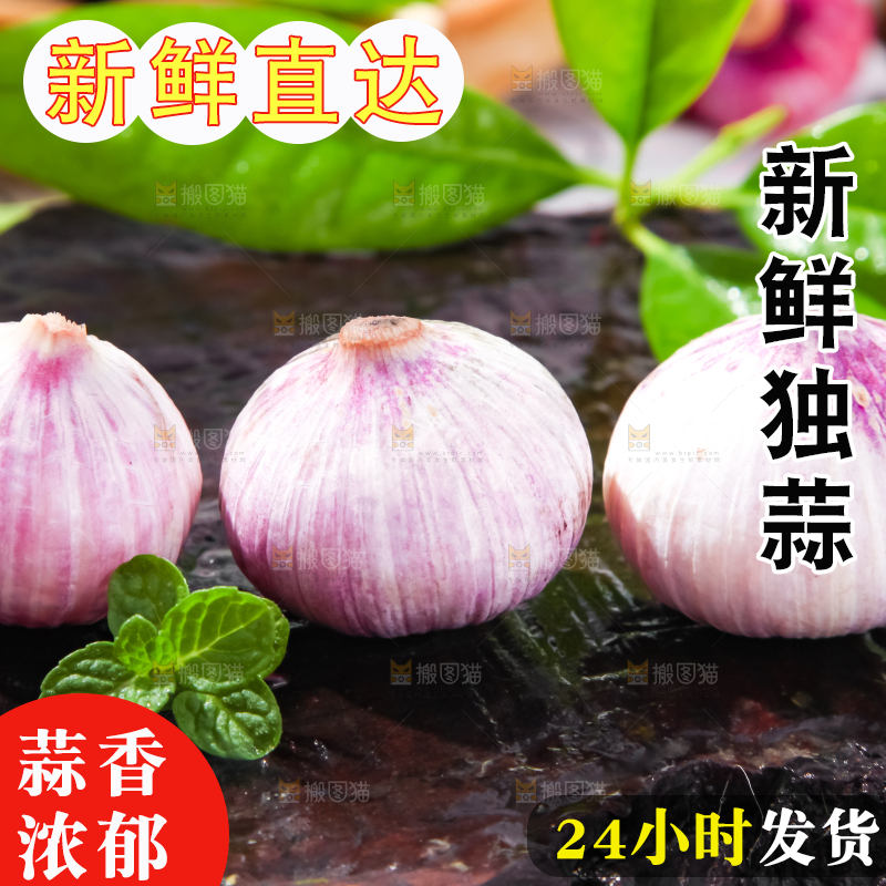 深底上摆放着紫皮独蒜