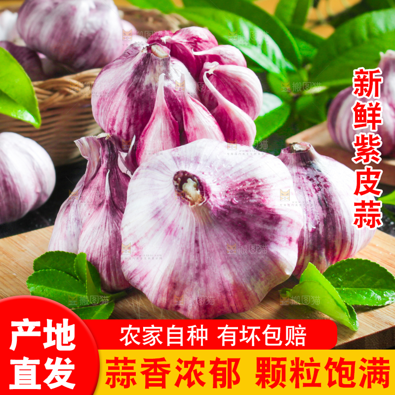 木板上放着紫皮鲜蒜