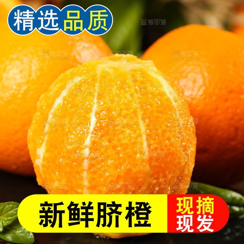 深底上摆放着赣南伦晚脐橙